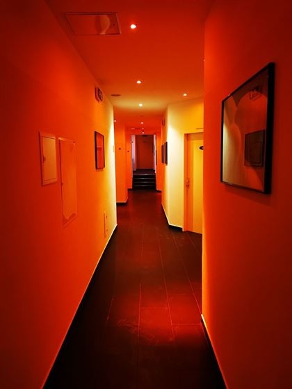 Laufhaus Vienna — photo 3 | Puffly