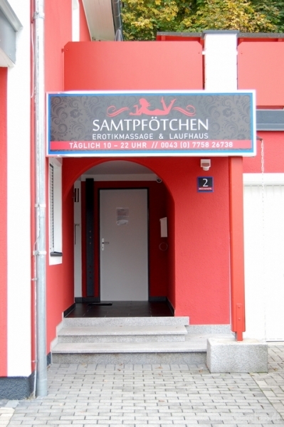 Samtpfötchen — photo 3 | Puffly