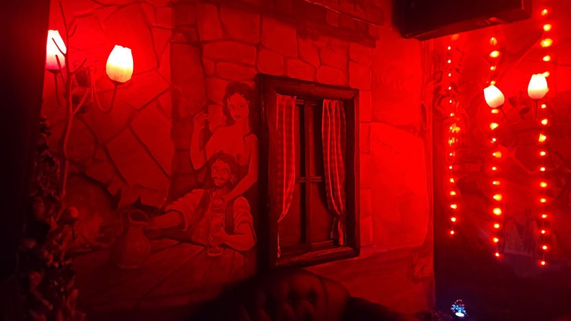 Almbar in Vienna — Bordell, Erotikclub und Laufhaus — photo 3