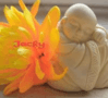 LITTLE BUDDHA in Villach — Bordell, Erotikclub und Laufhaus — photo 2