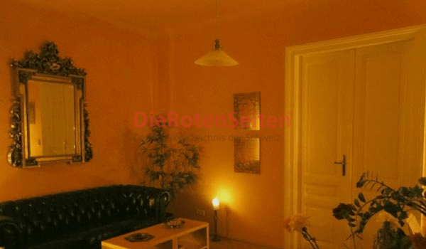 Studio Shakti in Vienna — Bordell, Erotikclub und Laufhaus